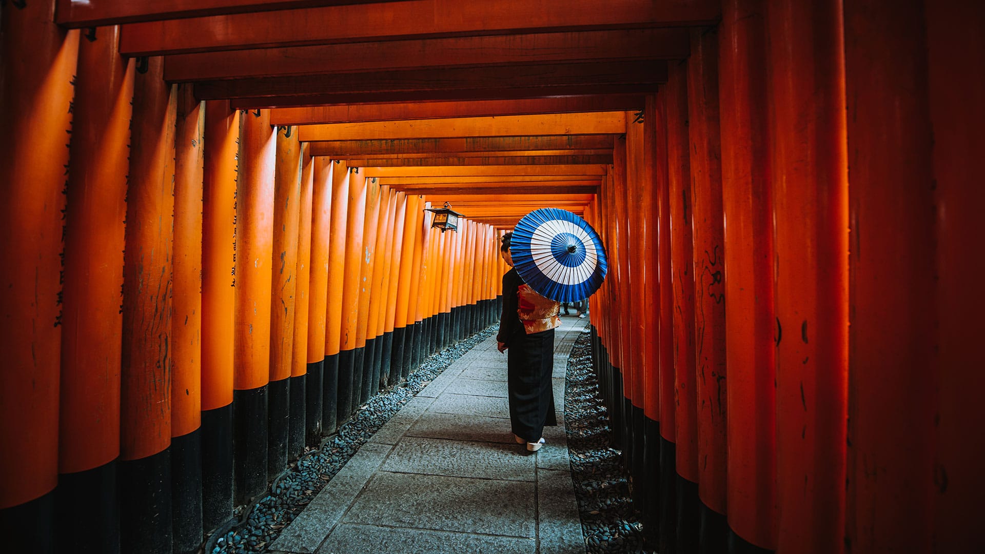 Traditional Japanese woman with a blue umbrella walking through the torii gates of Fushimi Inari-taisha Shrine