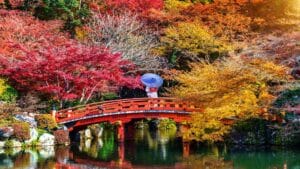 Scenic red bridge surrounded by vibrant autumn foliage in Hakone, Japan