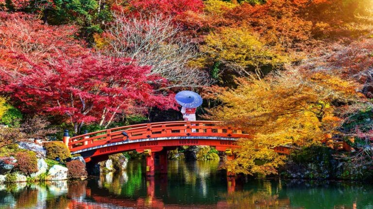 Scenic red bridge surrounded by vibrant autumn foliage in Hakone, Japan