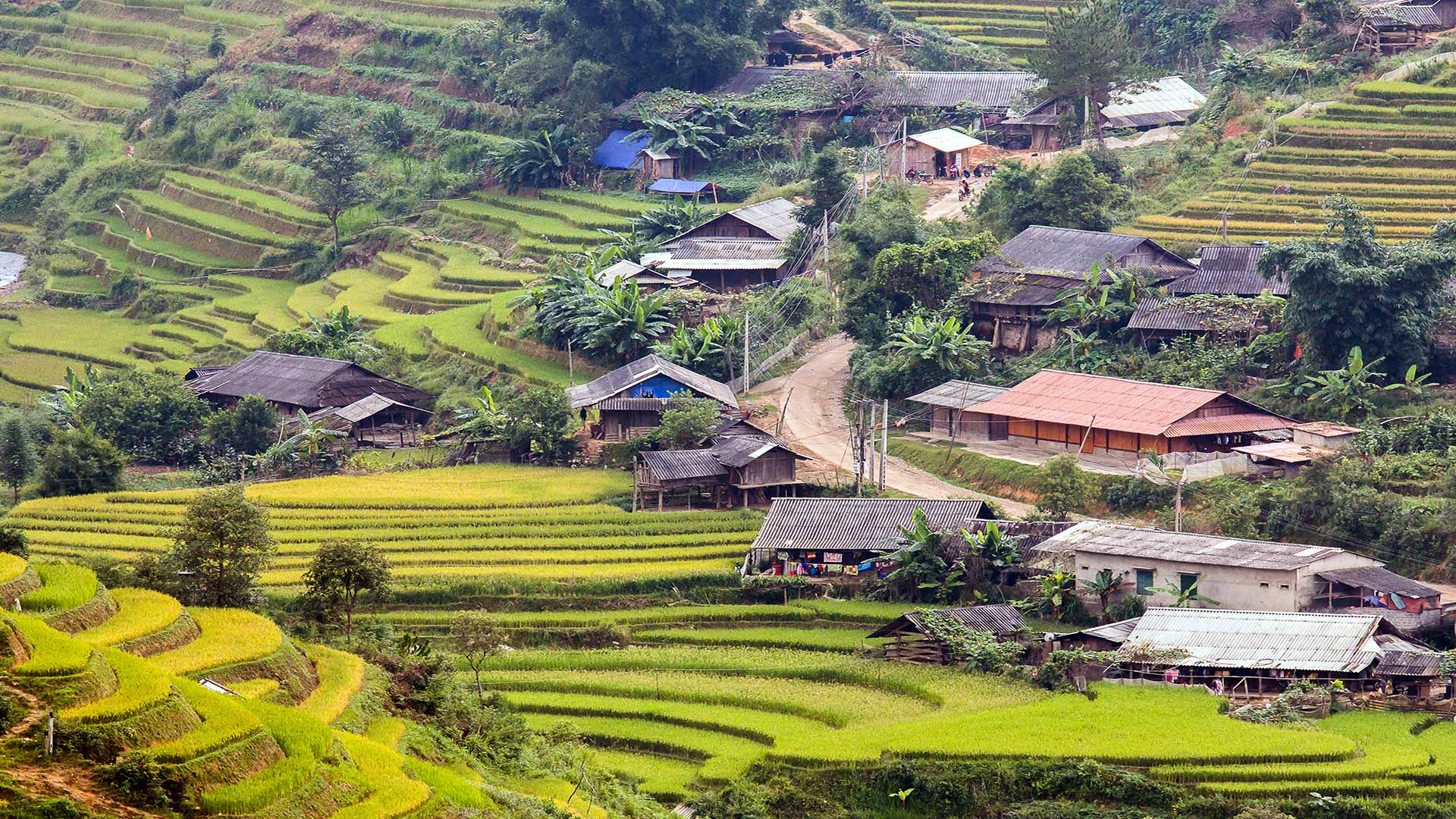 Lao Chai Ta Van Village with traditional houses surrounded by terraced rice fields in Sapa, Vietnam.