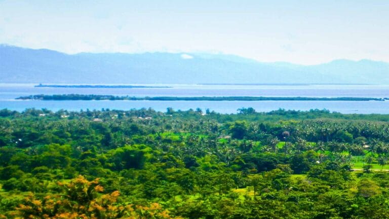 A lush green landscape with a view of the sea and islands from Mitra's Ranch in Palawan, Philippines.