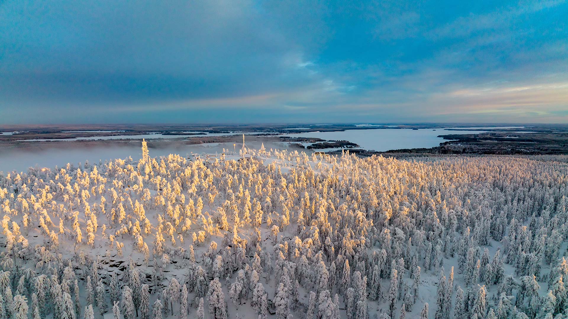 Aerial view of a snow-covered forest in Saariselkä, Finland, with golden sunlight touching the treetops, and a vast frozen landscape stretching into the distance.