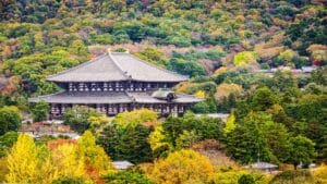 Todaiji Temple surrounded by vibrant autumn foliage in Nara, Japan.