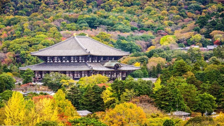 Todaiji Temple surrounded by vibrant autumn foliage in Nara, Japan.