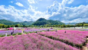 THAILAND TRICITY: Bangkok | Pattaya | Khao Yai "Mini Italy"