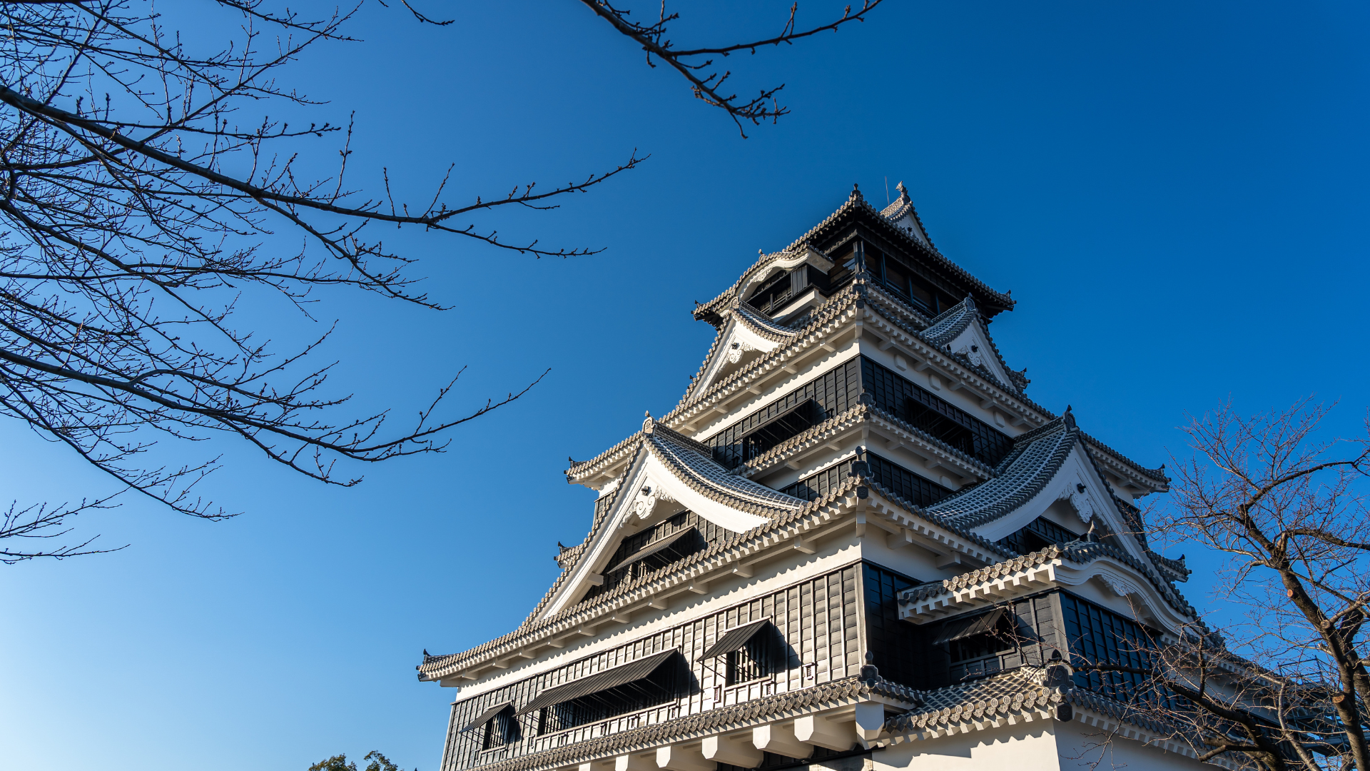 STAR NAVIGATOR CRUISE PACKAGE via PAL!!! - Image 3