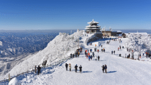 5D4N Winter in BUSAN, DAEGU and SEOUL KOREAdventure