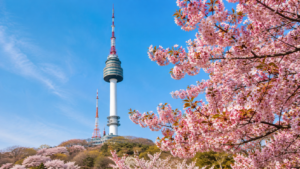 5D4N SPRING KOREADVENTURE W/ FREE DAY