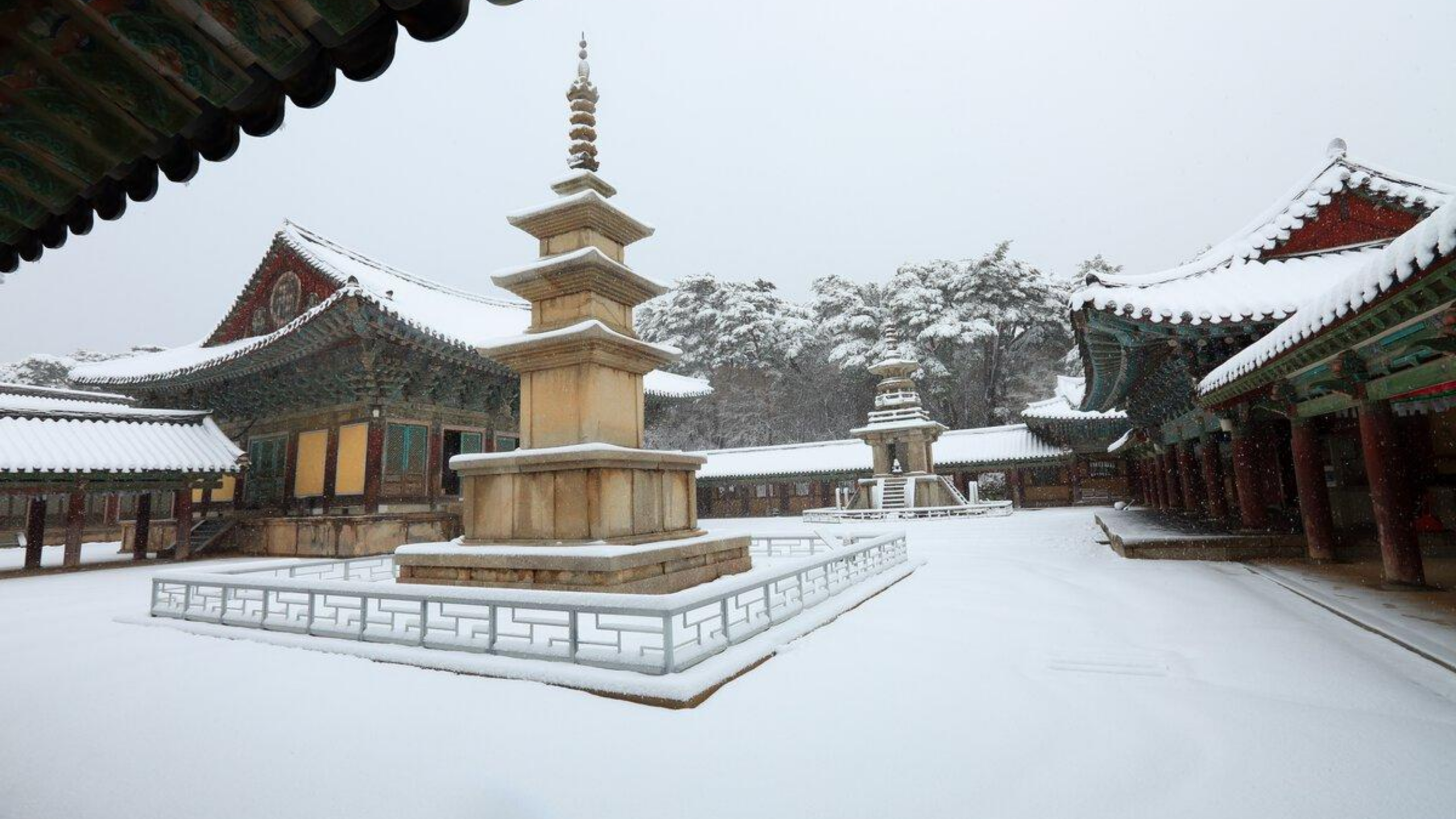5D4N WINTER IN BUSAN–DAEGU–GYEONGJU