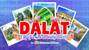 CITY OF A THOUSAND FLOWERS, DALAT VIETNAM