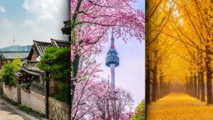 KoreAdventure in SPRING , SUMMER  or AUTUMN